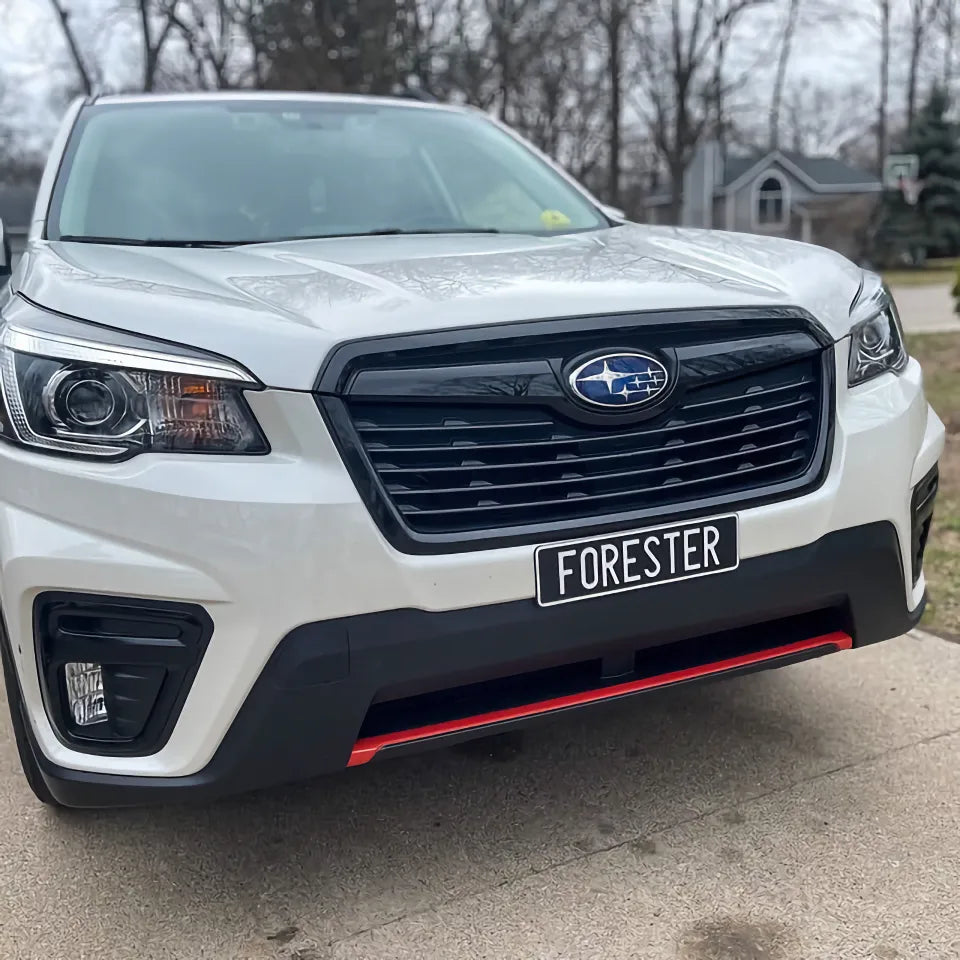 US Euro Style License Plate